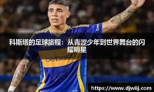 PA视讯官网